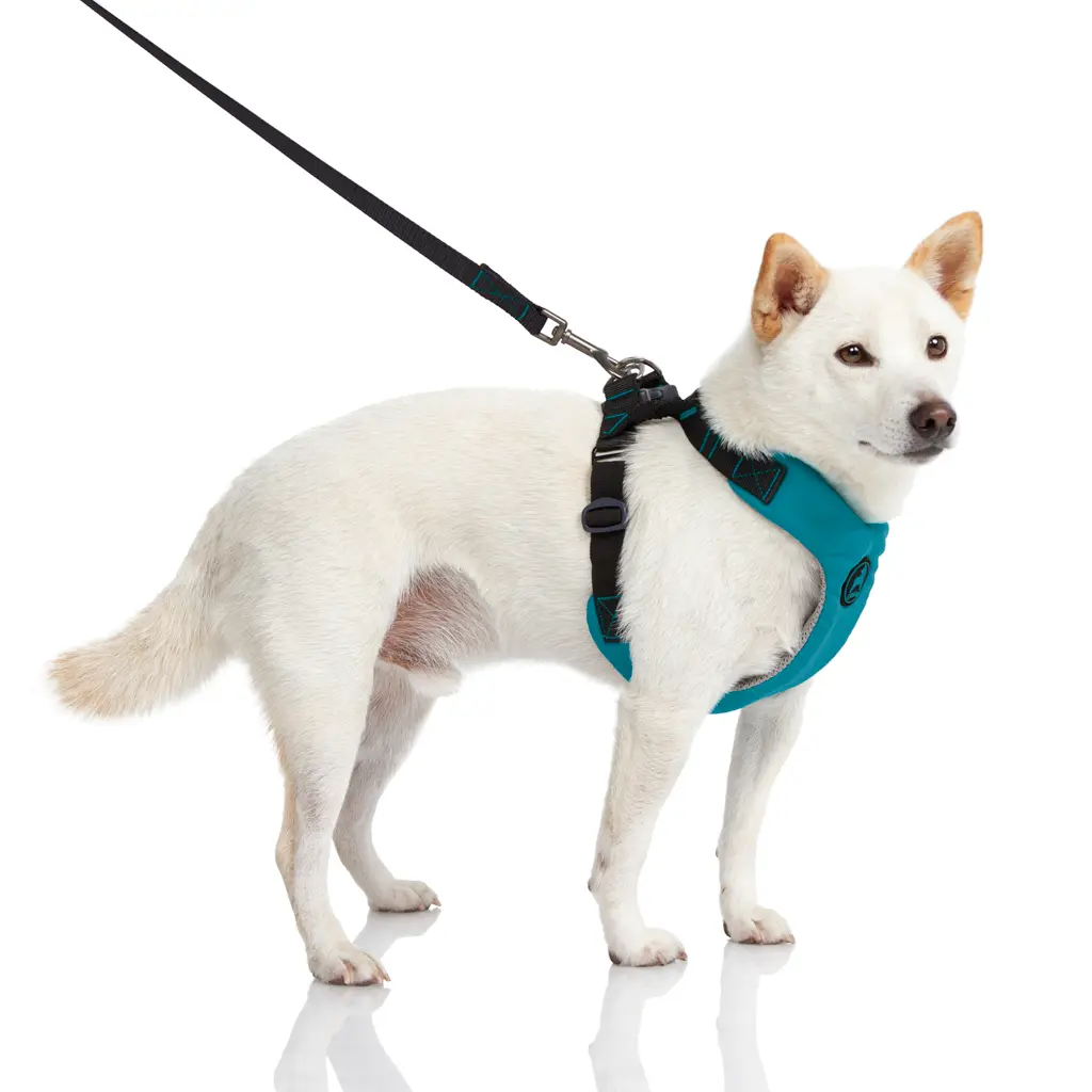 [04204-PUR-M] Convertible Z Harness (Purple, Medium)